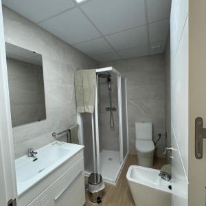 a bathroom with a sink and a shower and a toilet at Apartamentos Jardines in Ciempozuelos