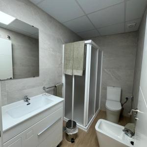 a bathroom with a sink and a toilet and a mirror at Apartamentos Jardines in Ciempozuelos