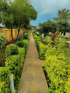 Garden sa labas ng Bukari Executive Lodge