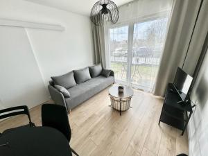 a living room with a gray couch and a tv at Apartament Przystań 2 in Kartuzy