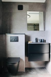 een badkamer met een wastafel, een toilet en een spiegel bij Prachtige vakantievilla aan IJsselmeer Makkum in Makkum