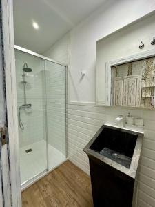 un bagno con doccia in vetro e lavandino di Apartamentos Carolina by gaiarooms a León