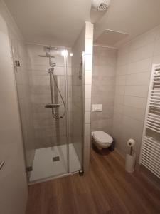 łazienka z prysznicem i toaletą w obiekcie Agréable 3 pièces au Lac Blanc w mieście Orbey