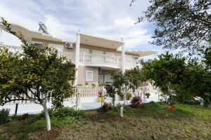 Guest House Narta外面的花园