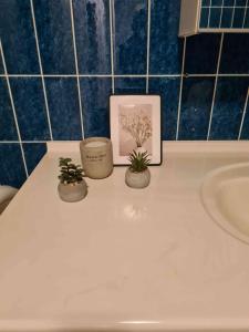 3 plantes en pot assises sur un comptoir de salle de bains à côté d'un lavabo dans l'établissement Den gamle skole, à Bylderup-Bov