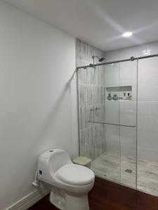 uma casa de banho com um WC e uma cabina de duche em vidro. em Travesía Quindiana em Filandia