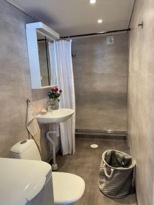 a small bathroom with a sink and a toilet at A new apartment close to City in Boden