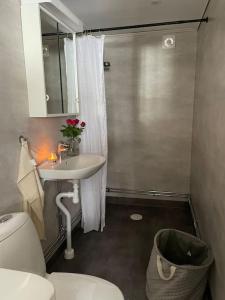 ein Badezimmer mit einem weißen WC und einem Waschbecken in der Unterkunft A new apartment close to City in Boden