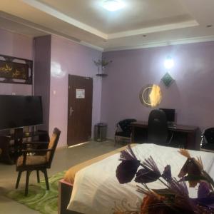 Schlafzimmer mit einem Bett, einem Schreibtisch und einem TV in der Unterkunft Health Plaza Abuja in Abuja