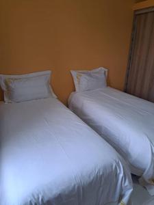 two white beds sitting next to each other in a room at 11036 in Ndola