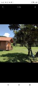 une maison et un arbre avec un hamac dans un champ dans l'établissement Chalé São Benedito I, à Santo Antônio do Pinhal