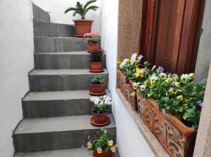 een groep potplanten op de trap bij Appartamento Cuore Salento in Carmiano