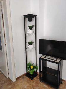 een kamer met een tv en een plank met planten bij Appartamento Cuore Salento in Carmiano