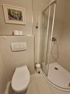 ein weißes Bad mit einer Dusche und einem WC in der Unterkunft Leśny zakątek apartament nr 5 in Radzyń