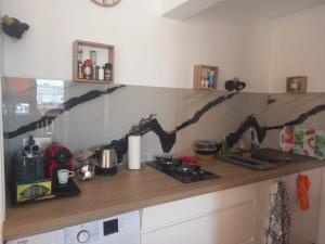 - une cuisine avec un comptoir, une cuisinière et un comptoir dans l'établissement Pa ni problème, à Saint-François