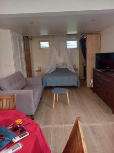 un salon avec un canapé et un lit dans l'établissement Pa ni problème, à Saint-François 11 autres photos