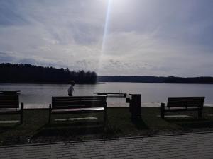 una persona de pie en un banco cerca de un lago en Domek Gościnny nad jeziorem Limajno, en Olsztyn