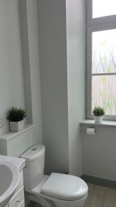 a white bathroom with a toilet and a window at Appartement de charme in Bayeux