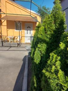 a hedge in front of a house with a building at APARTMAN OAZA 24 in Surčin