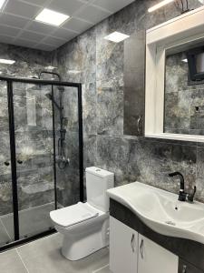 a bathroom with a toilet and a sink and a shower at Dayf Suit Naliya Otel in Çamlıhemşin +26 photos