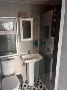 a bathroom with a sink and a toilet and a shower at Country Cabin Retreat - Hideaway & Relax in Thornhill