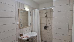 ein Bad mit einem Waschbecken und einer Dusche in der Unterkunft Vitis Apartments in Zaton