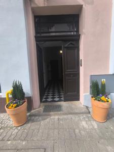 two large pots of flowers in front of a door at Apartments PSD Anny Łajming 3B in Słupsk
