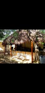 eine Hütte mit Strohdach und Baum in der Unterkunft Villa luna y sombra in Tulum