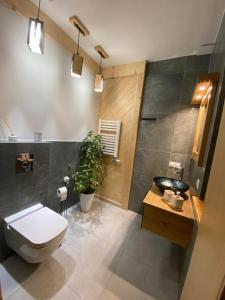 La salle de bains est pourvue de toilettes et d'un lavabo. dans l'établissement Kozie Turnie, à Poronin