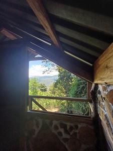 a window in a building with a view of a forest at Bosque de Oro in Apía