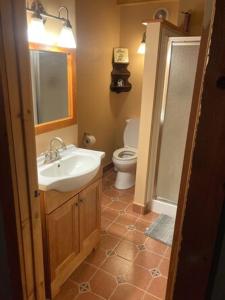 un bagno con lavandino e WC di Dancing Barefoot Farms a Pawlet