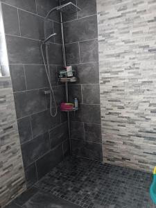 a bathroom with a shower with a stone wall at La villa des jonquilles in Saint-Victor +20 photos