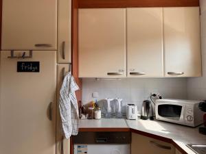 a kitchen with white cabinets and a microwave at Buzahouse in Ljubljana