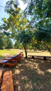 a group of picnic tables in a park with a tree at Quinta Cáceres in Santa Ana