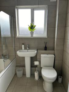 ein Bad mit einem WC, einem Waschbecken und einem Fenster in der Unterkunft Mountcollyer #3 in Belfast
