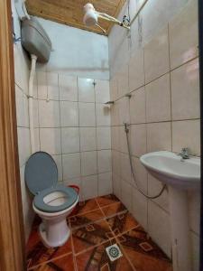 a small bathroom with a toilet and a sink at Casa em Lavras Novas in Ouro Preto