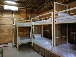 two bunk beds in a room with wooden walls at Jeet Hostel & Rooms in Canacona