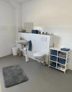 ein Bad mit einem WC und einem Waschbecken in der Unterkunft HOME OF VACATION - Landhausstil zum Wohlfühlen - FREE WIFI & NETFLIX in Adelheidsdorf