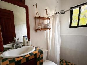 ein Badezimmer mit einem Waschbecken, einem WC und einem Spiegel in der Unterkunft Mia Nueva Gorgona in Nueva Gorgona