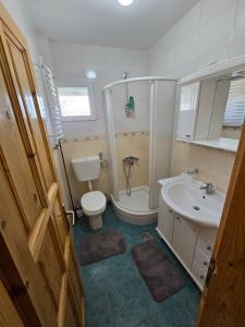 Un baño con ducha, inodoro y lavabo. en Guest House Boka, en Žabljak