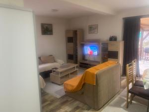 een woonkamer met een bank en een tv bij Vila Panic in Pirot