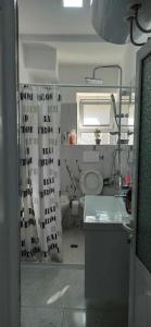 a bathroom with a toilet and a shower curtain at Flat rent berat in Berat