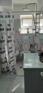 a bathroom with a toilet and a window and a sink at Flat rent berat in Berat