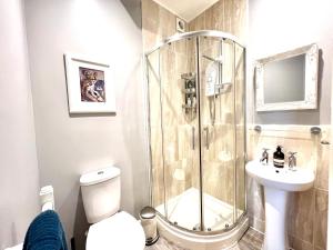 a bathroom with a shower and a toilet and a sink at Colthrop Manor with Gardens in Thatcham