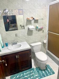 uma casa de banho com um WC, um lavatório e um espelho. em Murray's Cool Spot em Mandeville