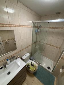 La salle de bains est pourvue d'une douche, de toilettes et d'un lavabo. dans l'établissement Castillo Holiday Apartament- Puerta del Sol 191, à Caleta de Fuste