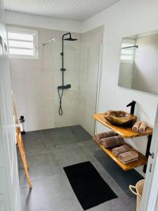 y baño con ducha, lavabo y espejo. en Villa Mahé, Majestueuse villa avec piscine, F4 à Ducos en Ducos
