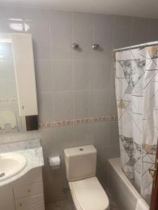La salle de bains est pourvue de toilettes blanches et d'un lavabo. dans l'établissement Apartamento Isabela3, à Cangas de Onís