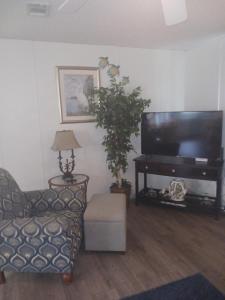 a living room with a tv and a chair and a plant at Turtles Nest of Port Orange in Port Orange