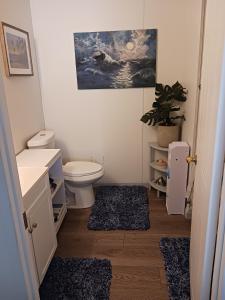 a bathroom with a toilet and a sink at Turtles Nest of Port Orange in Port Orange